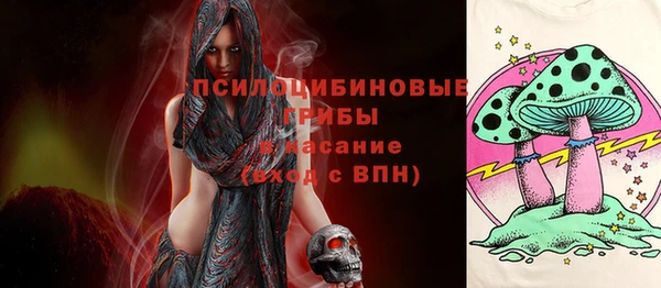 spice Костерёво