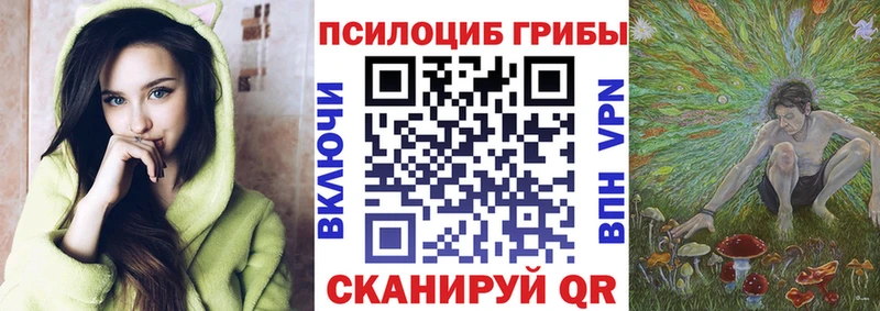 Галлюциногенные грибы GOLDEN TEACHER  Купить закладки  Верхоянск 